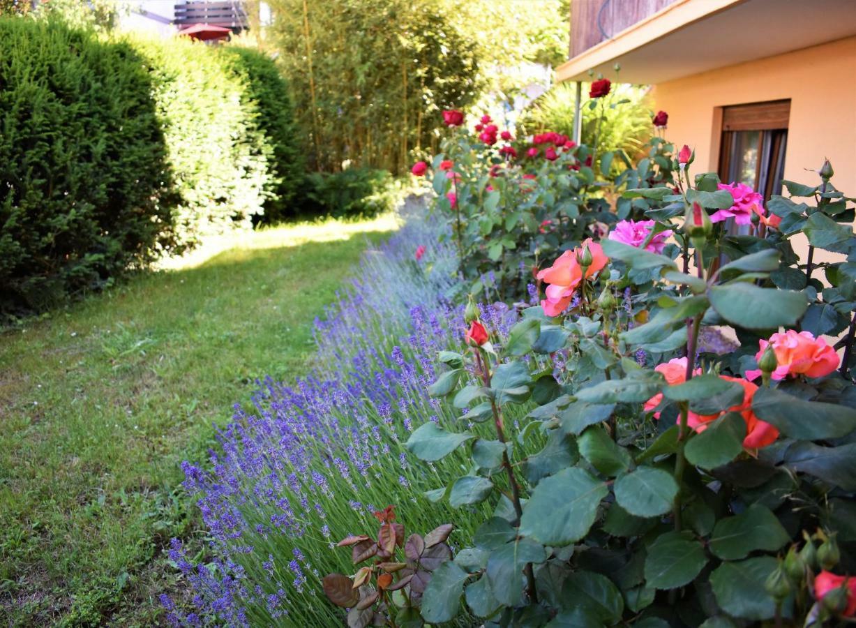 Fvh Family Vacation Appartement *